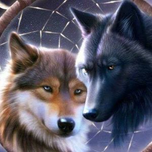 Meet your Posher, Max